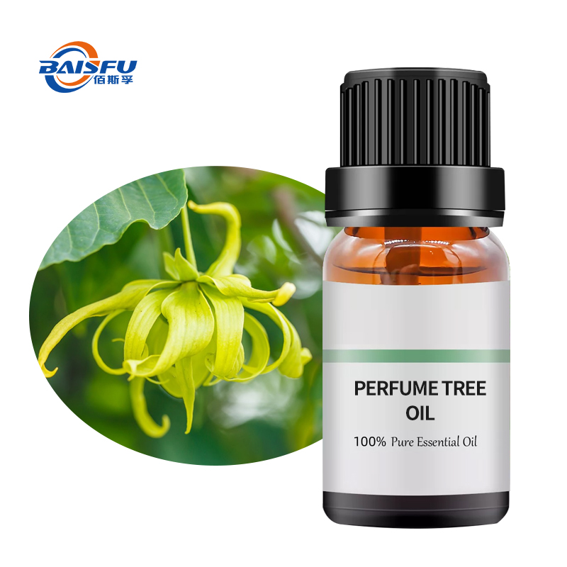 Perfume tree oilCAS:8006-84-6