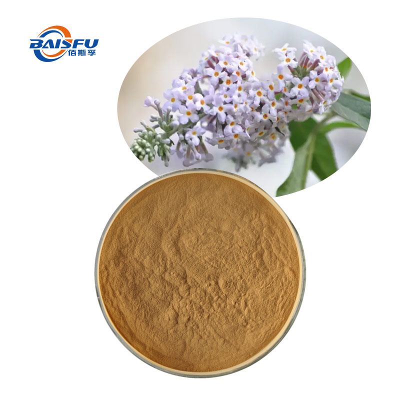 Buddleja Officinalis Flower Extract CAS20316-62-5